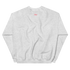 files/unisex-crew-neck-sweatshirt-ash-back-67749bf87de1c.png