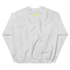 files/unisex-crew-neck-sweatshirt-ash-back-67749c8ae0170.png