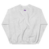 files/unisex-crew-neck-sweatshirt-ash-back-67749d023c186.png