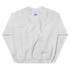 files/unisex-crew-neck-sweatshirt-ash-back-67749d87e65b9.png