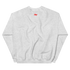 files/unisex-crew-neck-sweatshirt-ash-back-67749e1c4e313.png