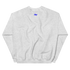 files/unisex-crew-neck-sweatshirt-ash-back-67749f9aa2308.png