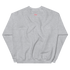 files/unisex-crew-neck-sweatshirt-sport-grey-back-67749bf859b3e.png