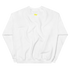 files/unisex-crew-neck-sweatshirt-white-back-67749c8b05daf.png