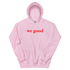 files/unisex-heavy-blend-hoodie-light-pink-front-676e2af1067bc.png