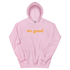 files/unisex-heavy-blend-hoodie-light-pink-front-676e2ca17a47a.png